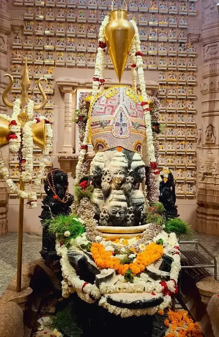 maha-shivaratri-celebrations-at-om-ashram bodyImage